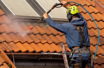 Démoussage et hydrofuge de toiture à Payns
